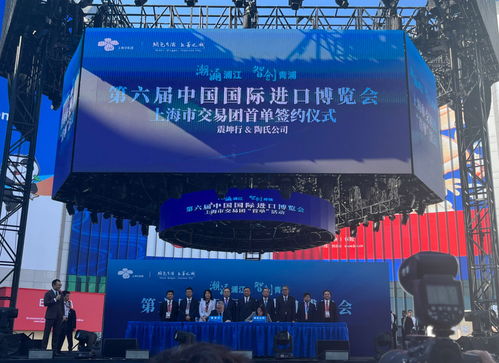 放眼世界，只有中國(guó)可以辦進(jìn)博會(huì)這樣的展會(huì)——從丁一凡觀點(diǎn)看軟件代理服務(wù)的機(jī)遇與前景